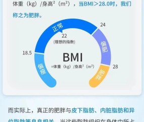 开云体育官网-赘=怎D(赘怎么读,什么意思)