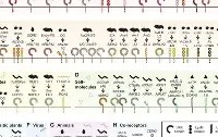 开云体育入口-烀>艑轥怭礼)v?袑